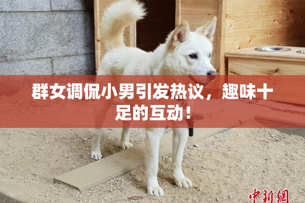 群女调侃小男引发热议，趣味十足的互动！