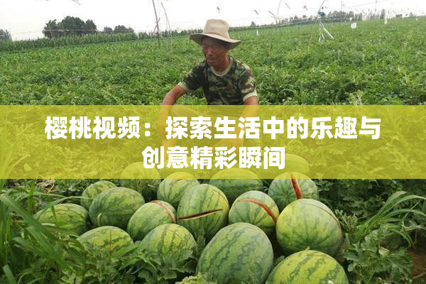 樱桃视频：探索生活中的乐趣与创意精彩瞬间