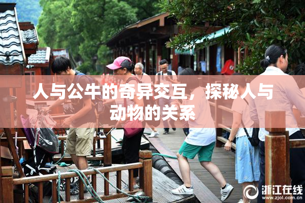 人与公牛的奇异交互，探秘人与动物的关系