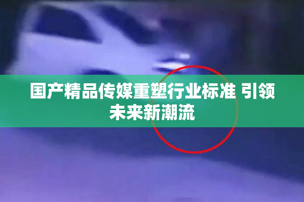 国产精品传媒重塑行业标准 引领未来新潮流