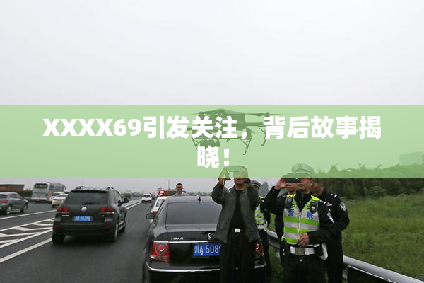 XXXX69引发关注，背后故事揭晓！