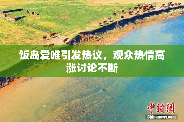 饭岛爱唯引发热议，观众热情高涨讨论不断