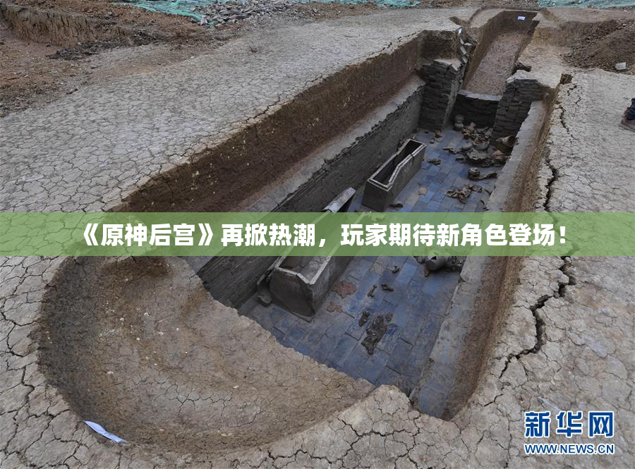 《原神后宫》再掀热潮，玩家期待新角色登场！