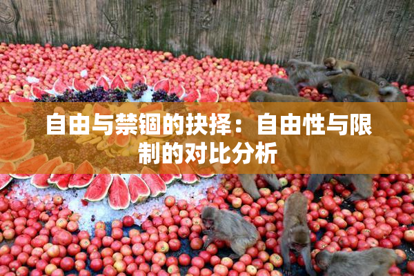 自由与禁锢的抉择：自由性与限制的对比分析