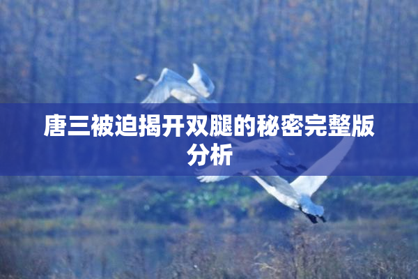 唐三被迫揭开双腿的秘密完整版分析