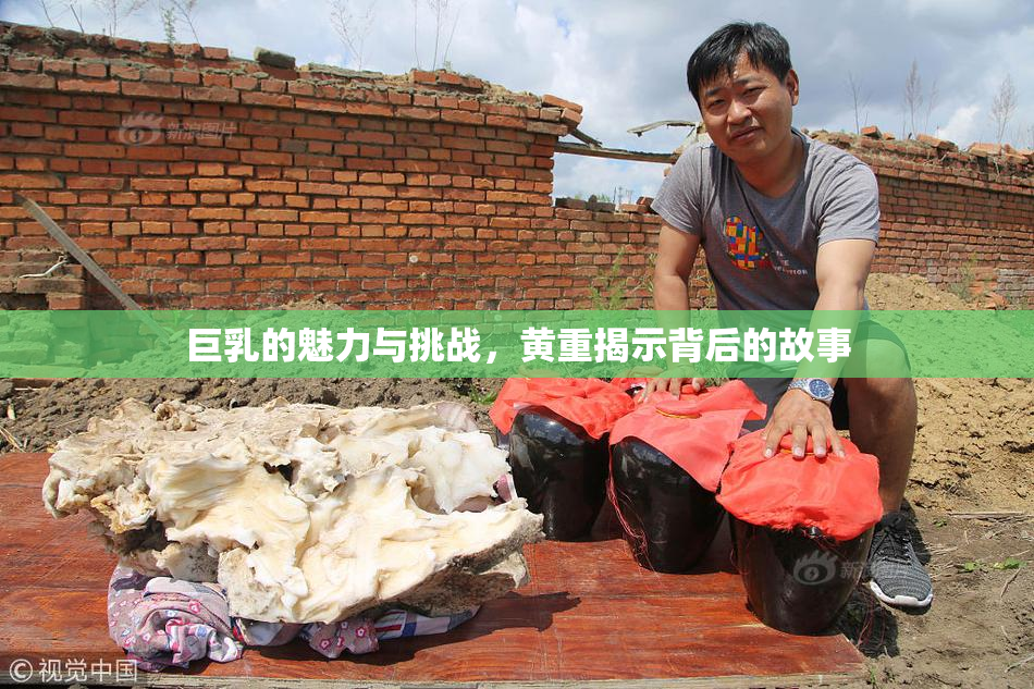 巨乳的魅力与挑战，黄重揭示背后的故事