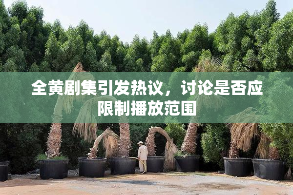 全黄剧集引发热议，讨论是否应限制播放范围