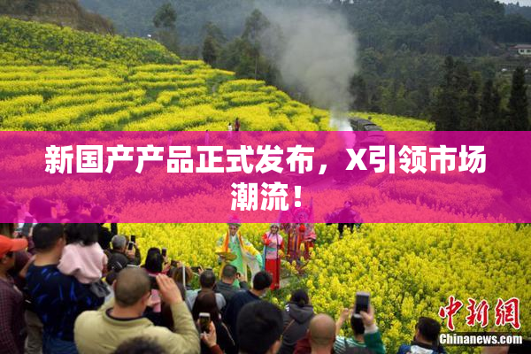 新国产产品正式发布，X引领市场潮流！