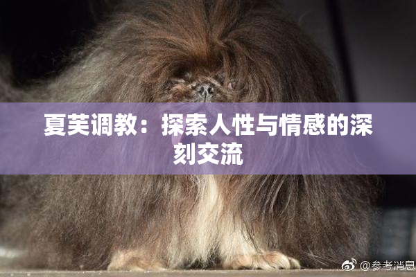 夏芙调教：探索人性与情感的深刻交流