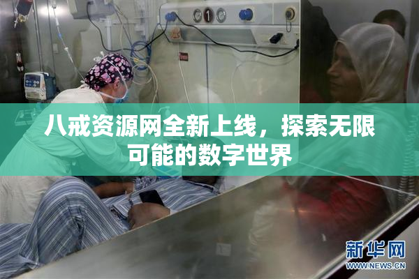 八戒资源网全新上线，探索无限可能的数字世界