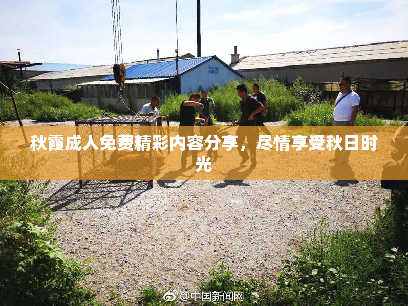 秋霞成人免费精彩内容分享，尽情享受秋日时光