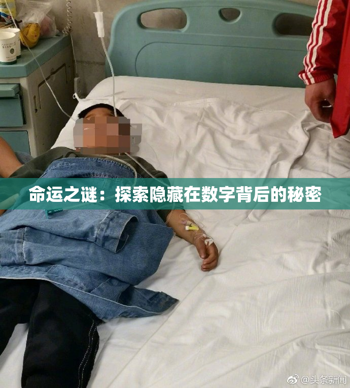 命运之谜：探索隐藏在数字背后的秘密