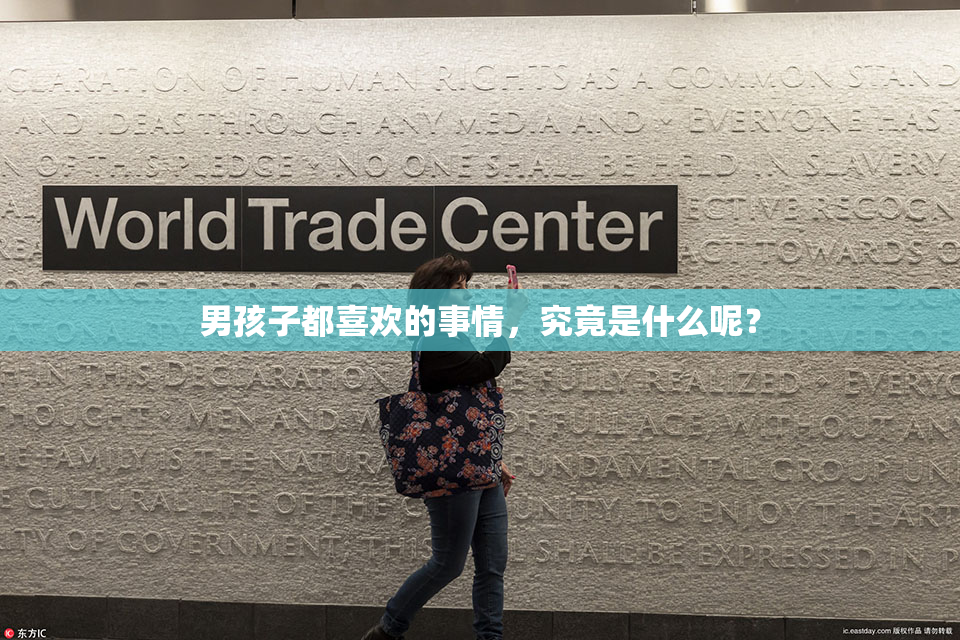 男孩子都喜欢的事情，究竟是什么呢？