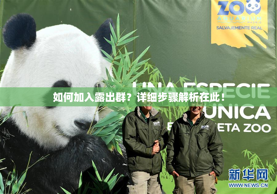 如何加入露出群？详细步骤解析在此！