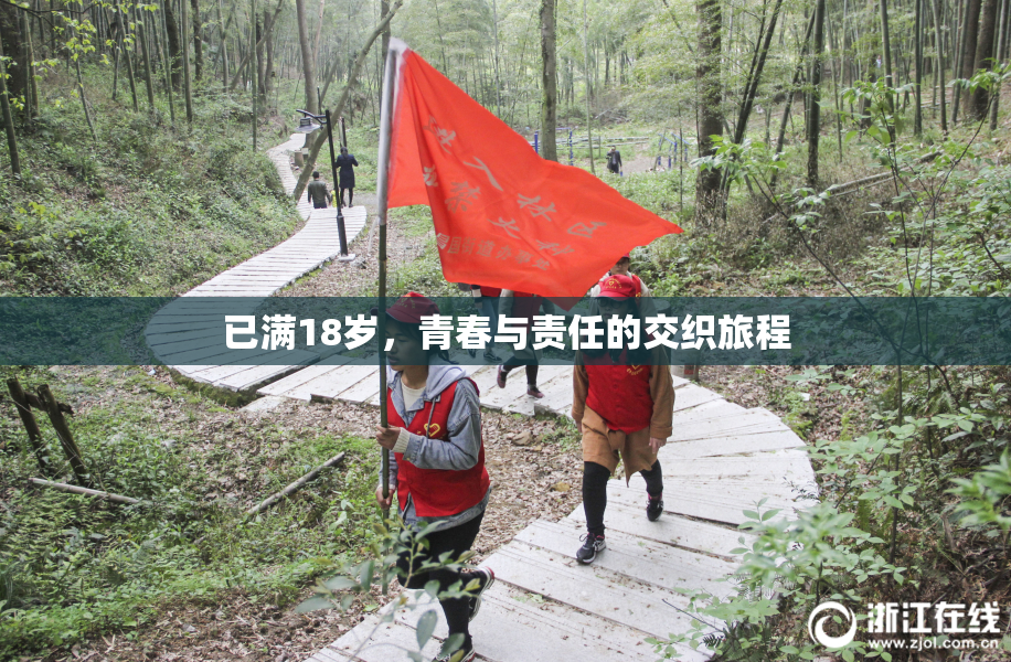 已满18岁，青春与责任的交织旅程