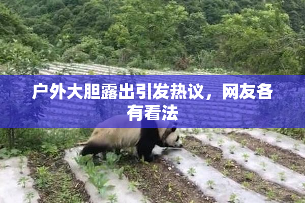 户外大胆露出引发热议，网友各有看法