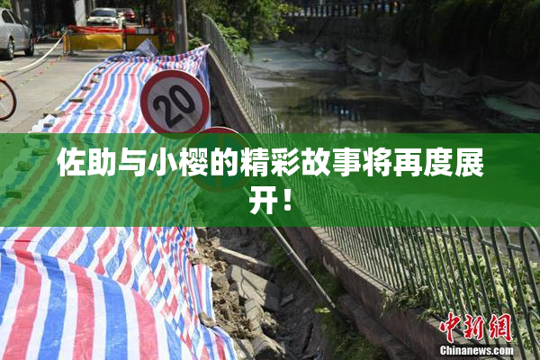 佐助与小樱的精彩故事将再度展开！
