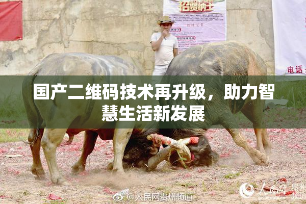 国产二维码技术再升级，助力智慧生活新发展