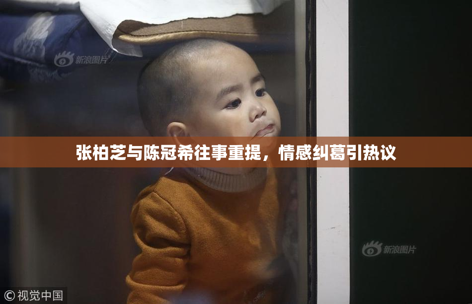 张柏芝与陈冠希往事重提，情感纠葛引热议