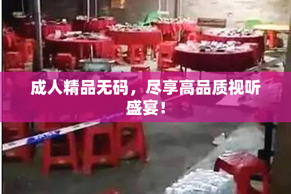 成人精品无码，尽享高品质视听盛宴！