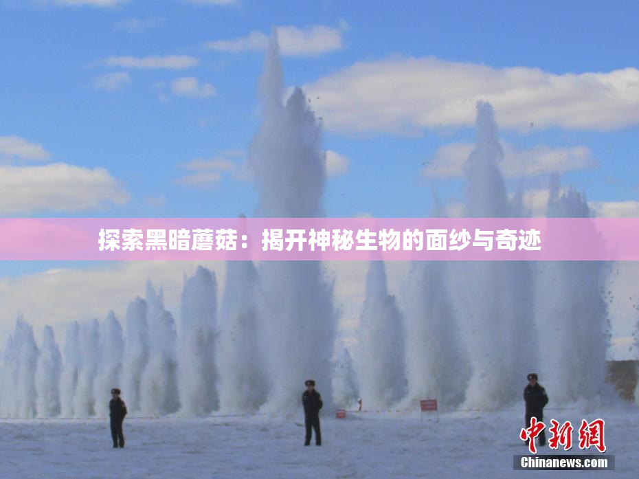 探索黑暗蘑菇：揭开神秘生物的面纱与奇迹