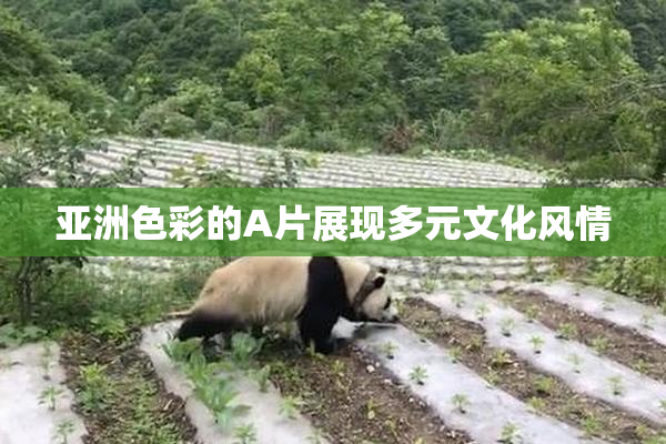 亚洲色彩的A片展现多元文化风情