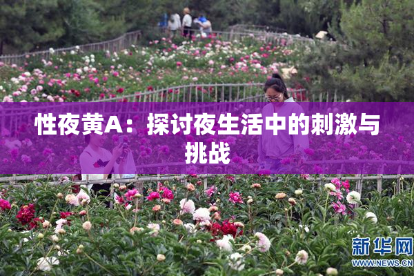 性夜黄A：探讨夜生活中的刺激与挑战