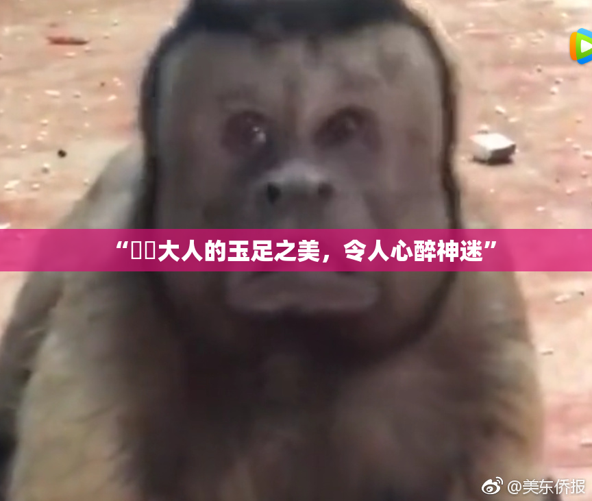 “芃芃大人的玉足之美，令人心醉神迷”
