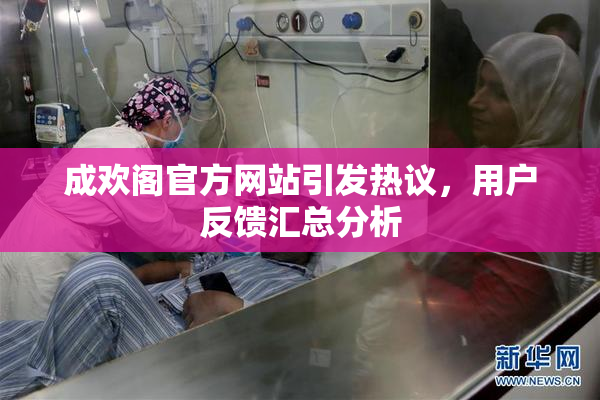 成欢阁官方网站引发热议，用户反馈汇总分析
