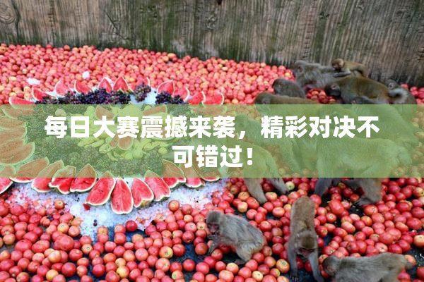 每日大赛震撼来袭，精彩对决不可错过！