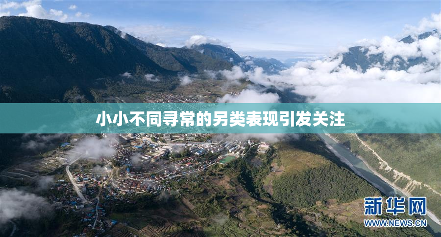 小小不同寻常的另类表现引发关注