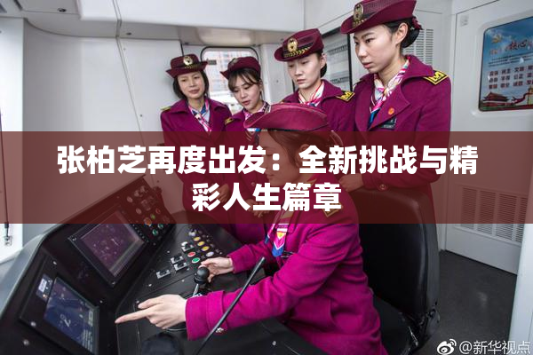 张柏芝再度出发：全新挑战与精彩人生篇章