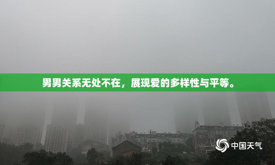男男关系无处不在，展现爱的多样性与平等。