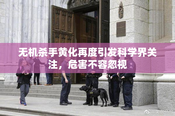 无机杀手黄化再度引发科学界关注，危害不容忽视