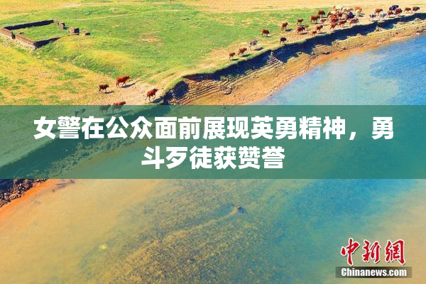 女警在公众面前展现英勇精神，勇斗歹徒获赞誉