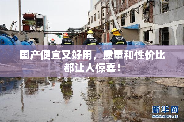 国产便宜又好用，质量和性价比都让人惊喜！