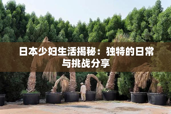 日本少妇生活揭秘：独特的日常与挑战分享