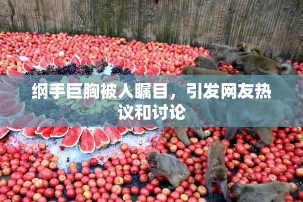 纲手巨胸被人瞩目，引发网友热议和讨论