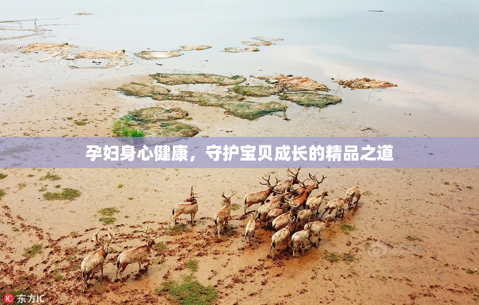 孕妇身心健康，守护宝贝成长的精品之道