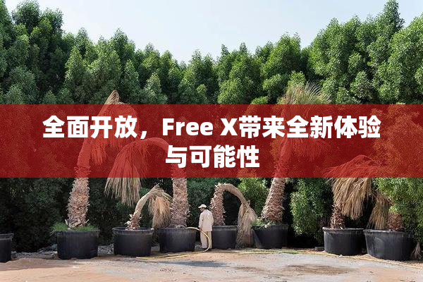 全面开放，Free X带来全新体验与可能性