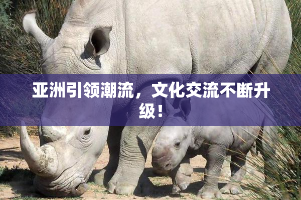 亚洲引领潮流，文化交流不断升级！