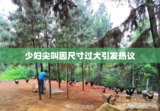 少妇尖叫因尺寸过大引发热议