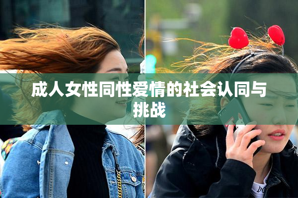 成人女性同性爱情的社会认同与挑战
