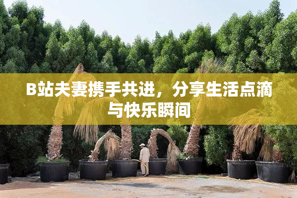 B站夫妻携手共进，分享生活点滴与快乐瞬间