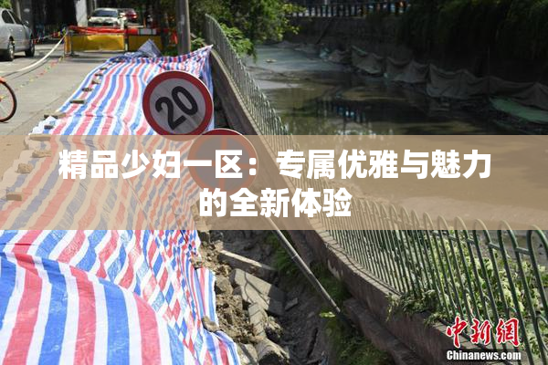 精品少妇一区：专属优雅与魅力的全新体验