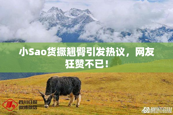 小Sao货撅翘臀引发热议，网友狂赞不已！