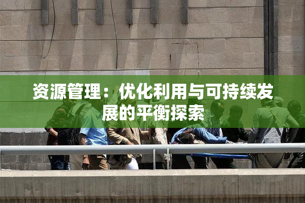 资源管理：优化利用与可持续发展的平衡探索