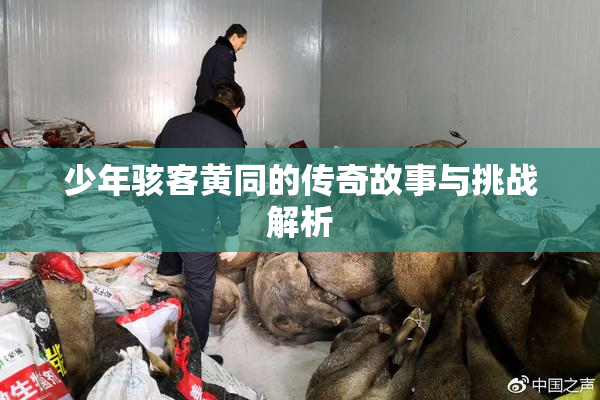 少年骇客黄同的传奇故事与挑战解析