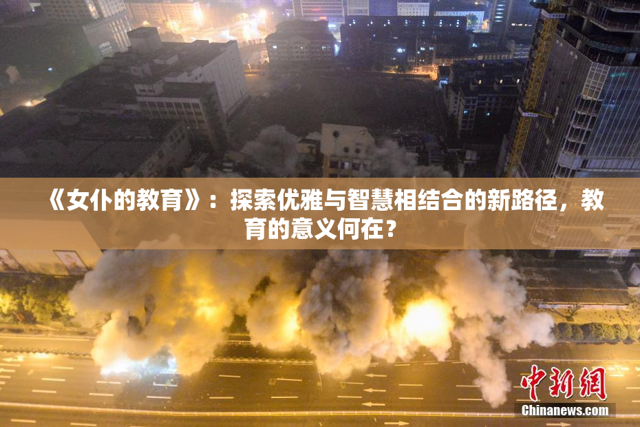 《女仆的教育》：探索优雅与智慧相结合的新路径，教育的意义何在？