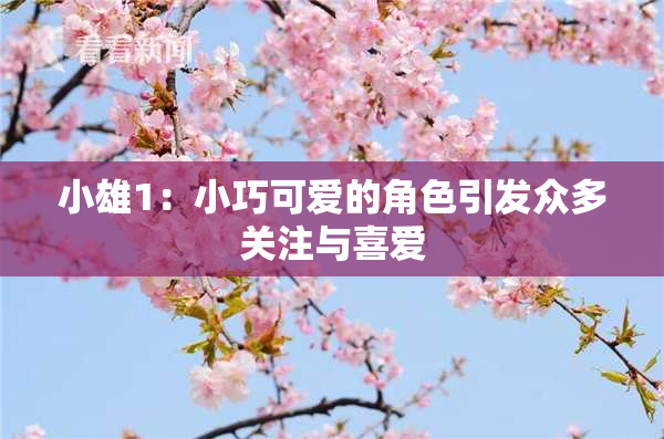 小雄1：小巧可爱的角色引发众多关注与喜爱